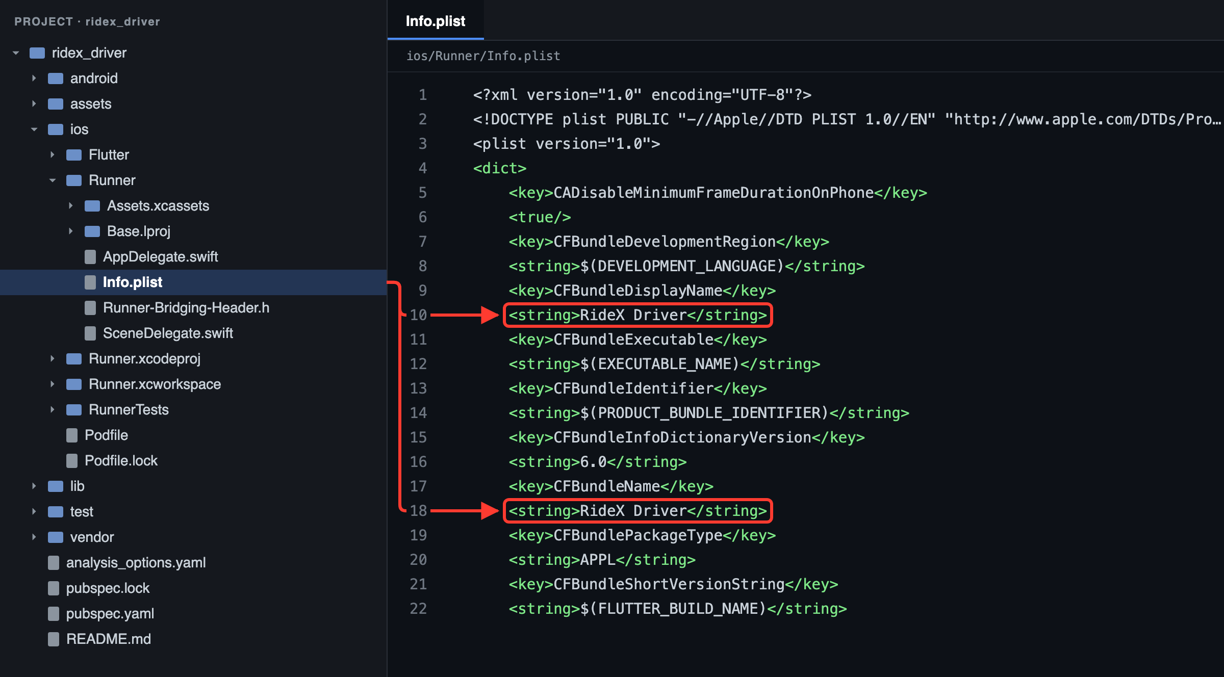 Driver app: the app name is CFBundleDisplayName (under the icon) and CFBundleName in ios/Runner/Info.plist