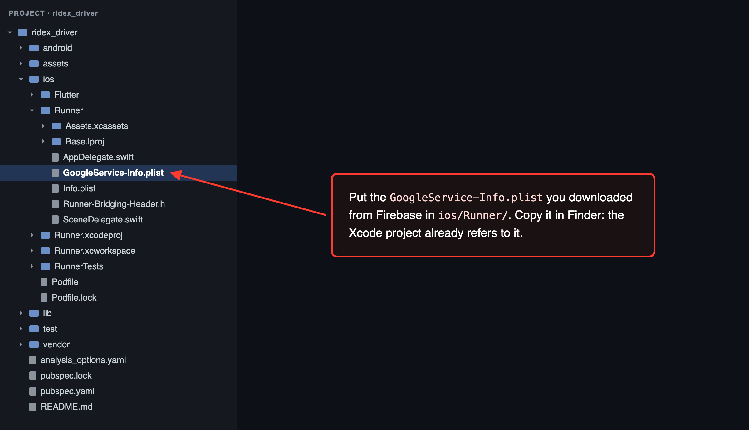 Driver app: GoogleService-Info.plist goes in ios/Runner/