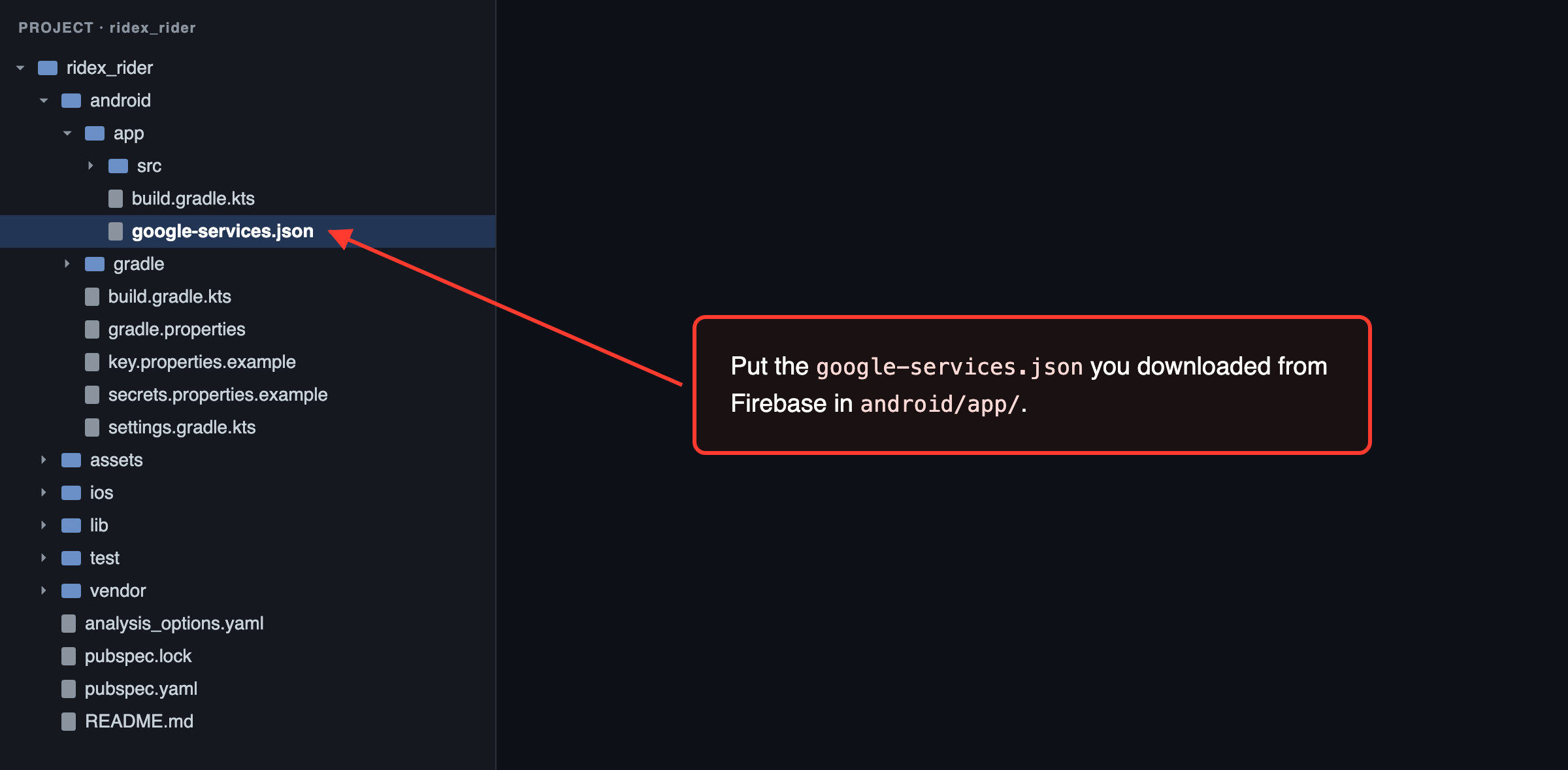 Rider app: google-services.json goes in android/app/