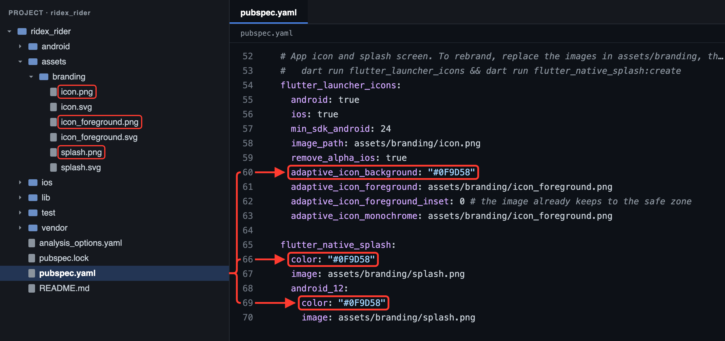 Rider app: the images to replace in assets/branding/, and their background colour (#0F9D58) in pubspec.yaml