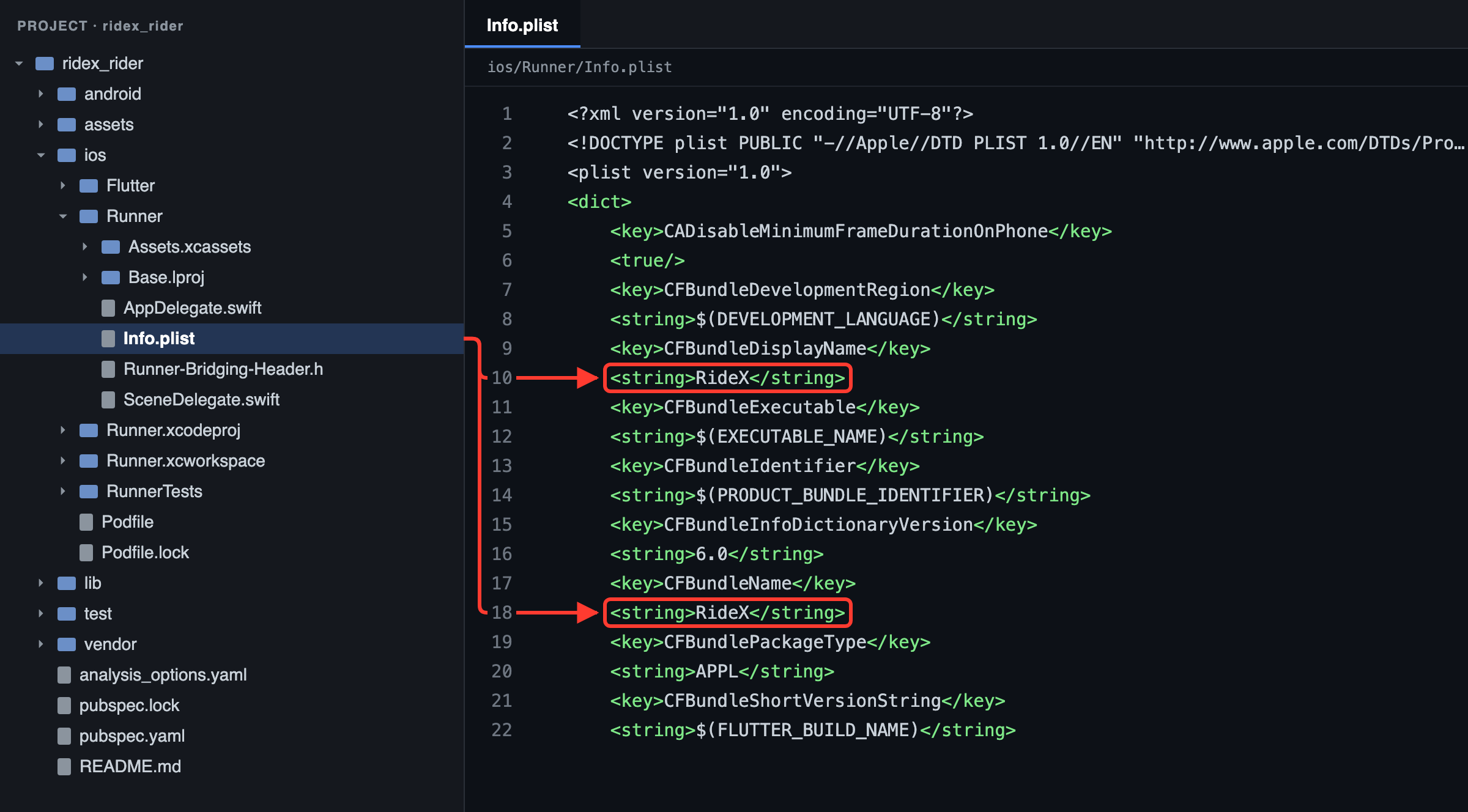 Rider app: the app name is CFBundleDisplayName (under the icon) and CFBundleName in ios/Runner/Info.plist